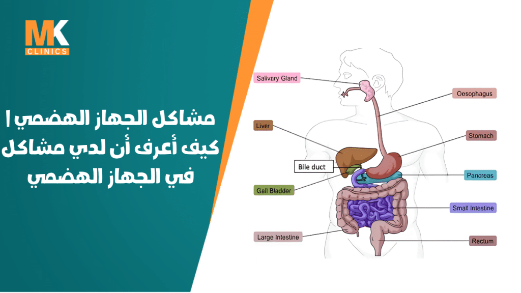 مشاكل الجهاز الهضمي | كيف أعرف أن لدي مشاكل في الجهاز الهضمي 4 مشاكل الجهاز الهضمي